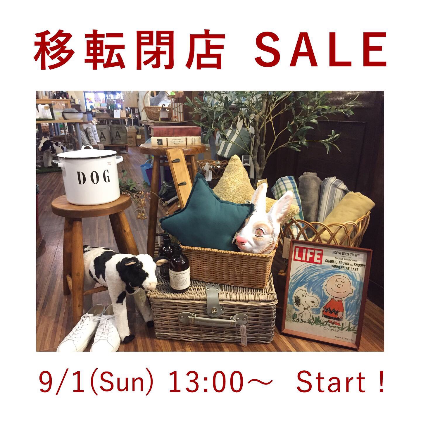 移転閉店セール 9/1(日) 13:00〜 | Lammy nose