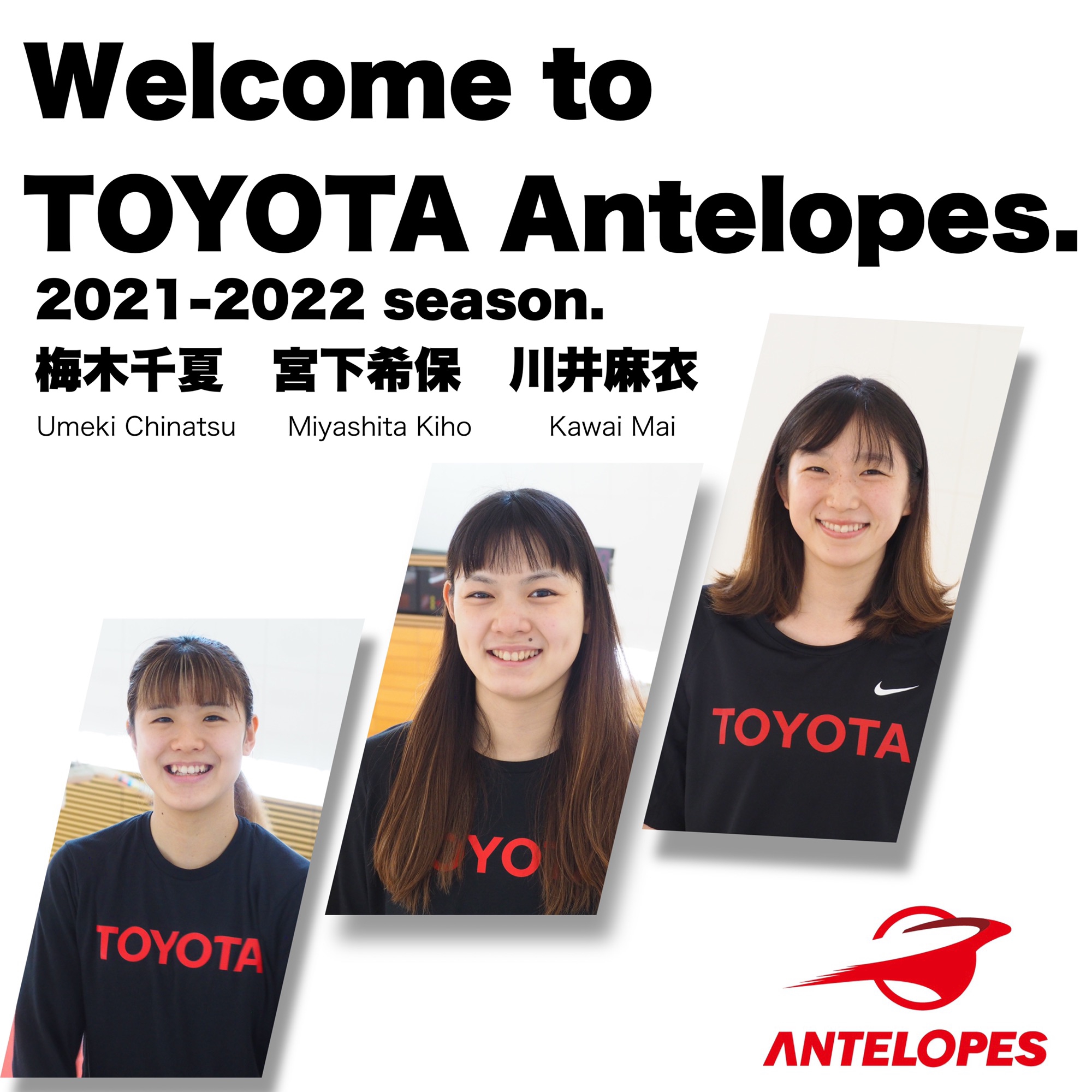 3名の新規入団者のお知らせ】 | Antelopes Blog