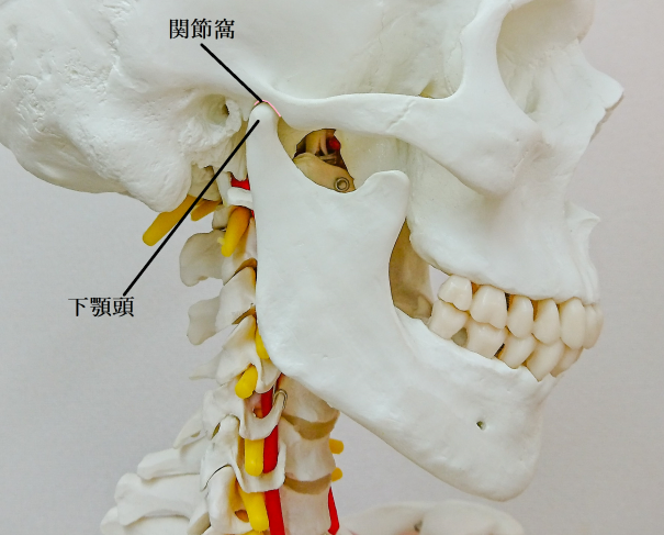 顎関節脱臼 林接骨院