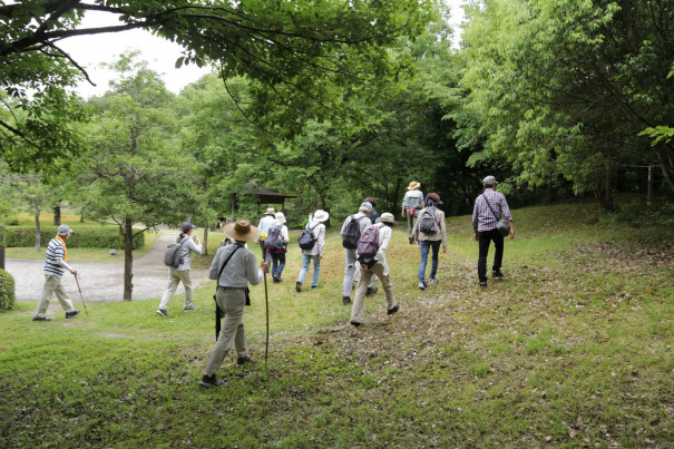 イベント報告 森歩きで二十四節気を楽しもう 夏至 梅雨に咲く花探し トヨタの森 公式ブログ