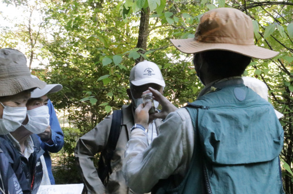 イベント報告 森歩きで二十四節気を楽しもう 霜降 秋の実りと虫の声 トヨタの森 公式ブログ