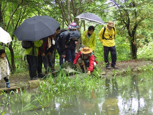 イベント報告：森歩きで二十四節気を楽しもう 立夏～フクロウのすむ森 