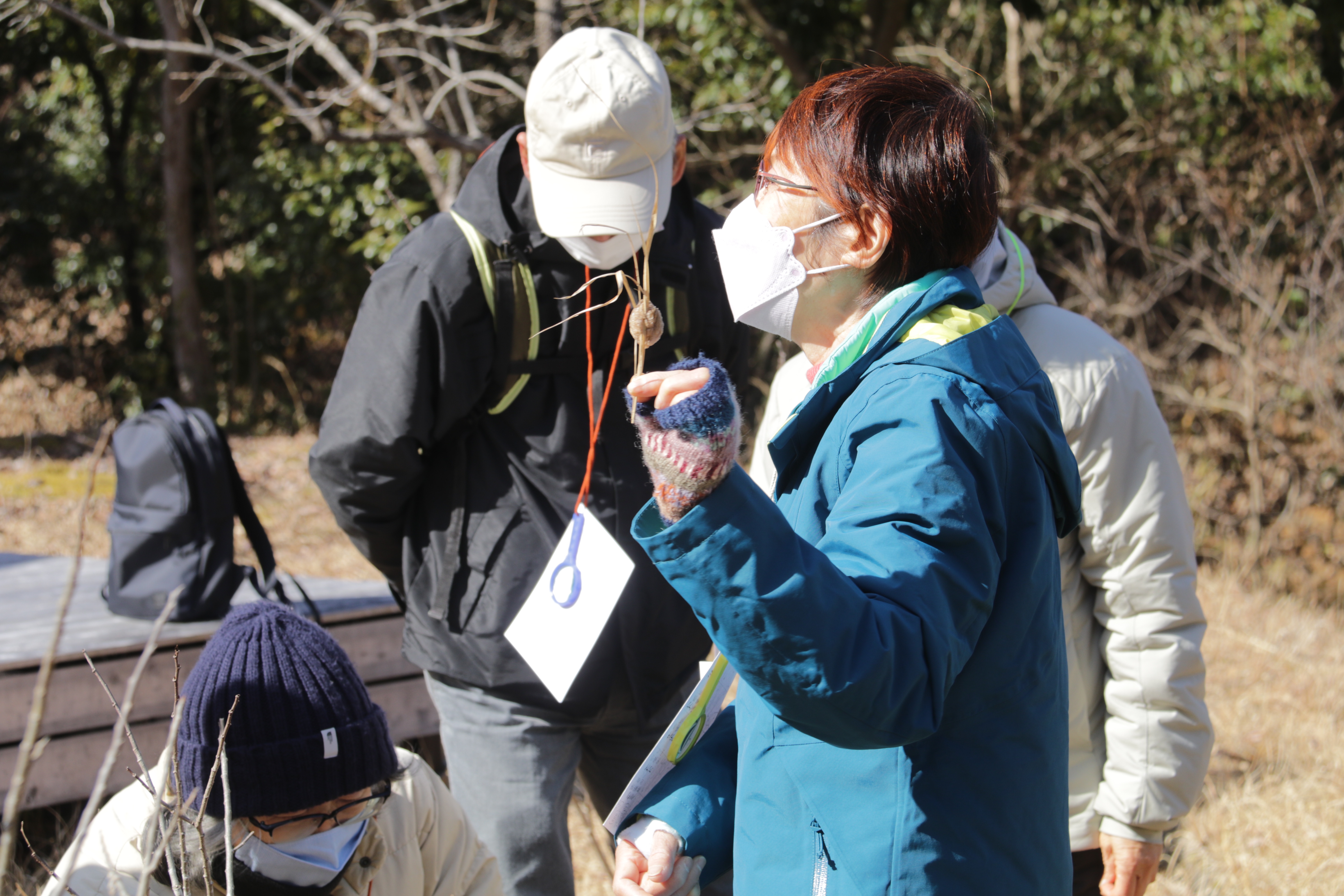 イベント報告：森あるきで二十四節気を楽しもう 立春 ～春の兆しを探し