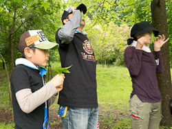 イベント報告：ふしぎはっけん！初夏の森の探検隊 トヨタの森 公式ブログ