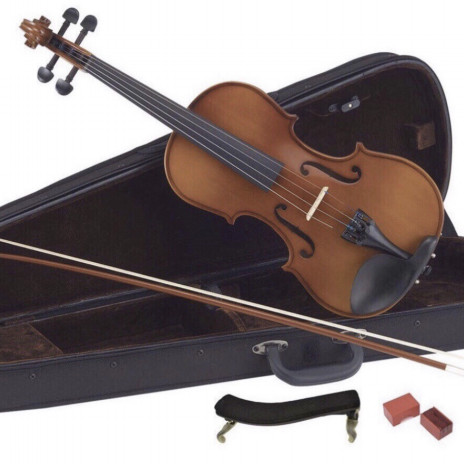 大人初心者 バイオリンを買う 完全サポートレポ書いてみました バイオリン ビオラ教室 東京 日本弦楽協会 子供 大人 初心者まで