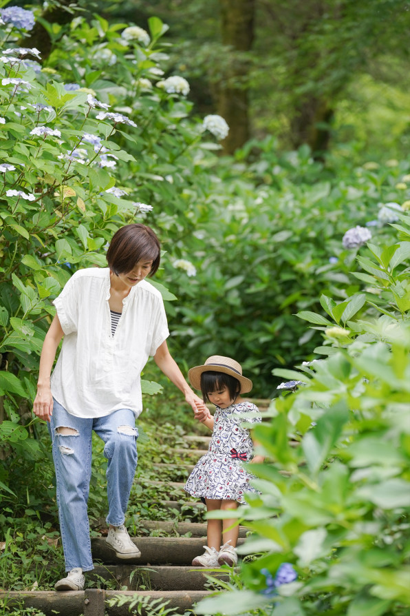 紫陽花撮影会in生田緑地 延期のお知らせ Family Photo Living