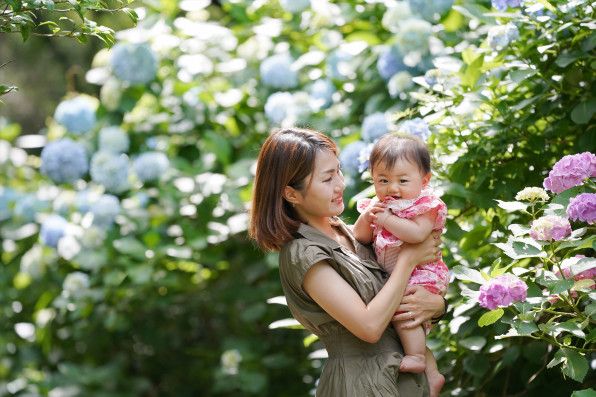 紫陽花撮影会in生田緑地 延期のお知らせ Family Photo Living