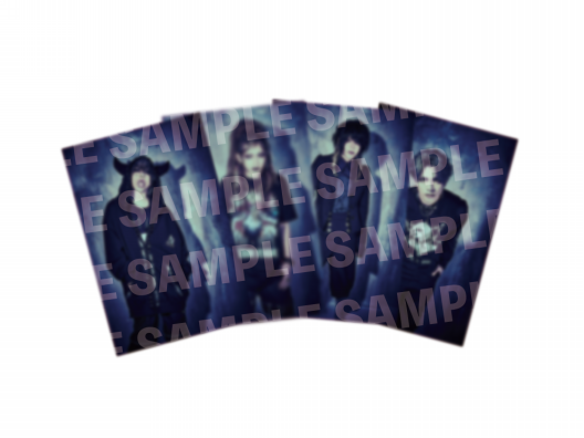 Timc Inc. ネイビー TPWPANTS02　サイズL 期間限定ポイント5倍キャンペーン中!!] 新品 東京インディアンズ