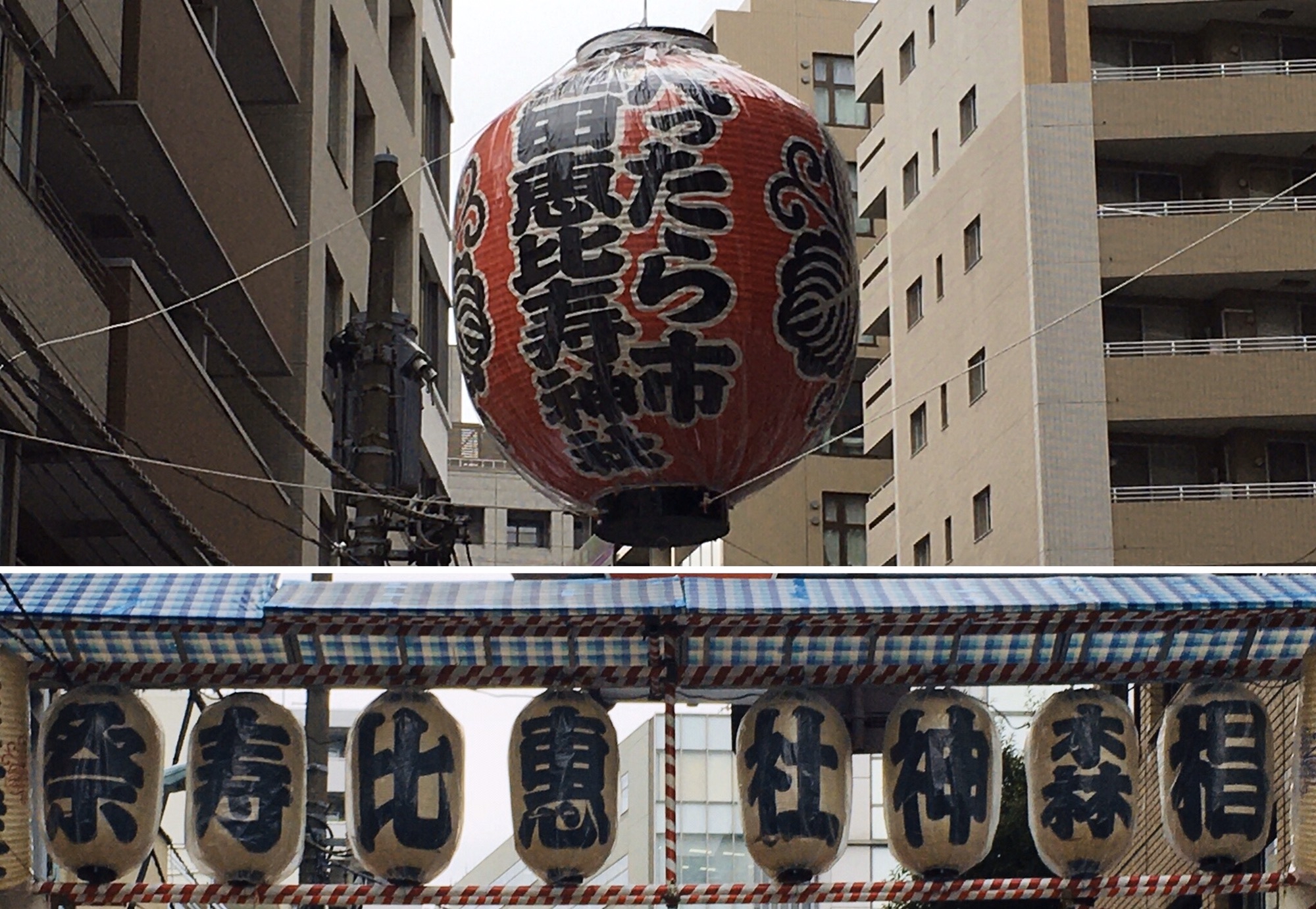 タミヤ 着物 販売済み 日本橋