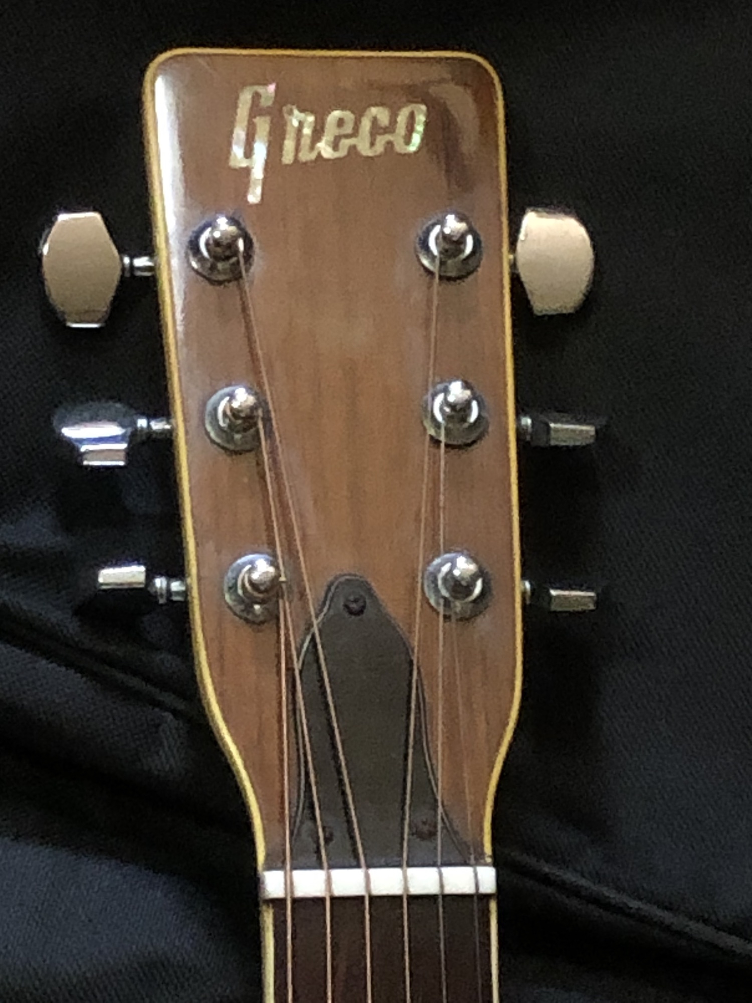 アコースティックギターGRECO F-200