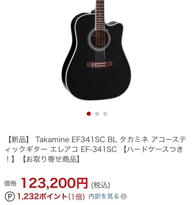 takamine EF341SC ハードケース付き-