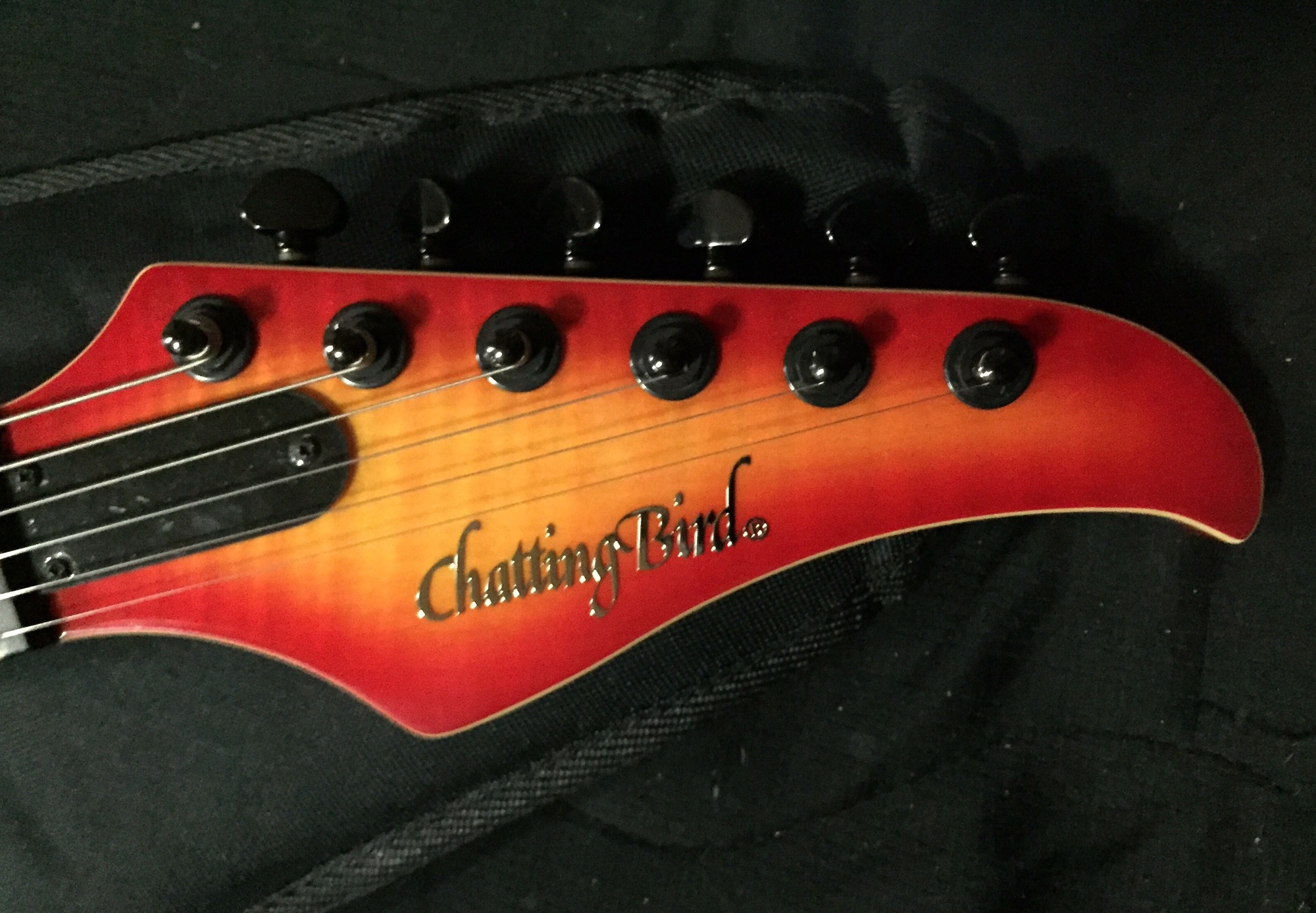 2009 Chatting Bird CFV-FM / Mint Condition | High Hopes Guitar's