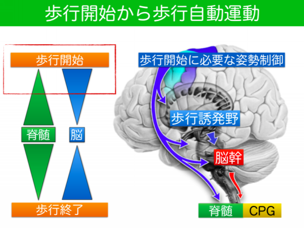 2019.9.12 | Reharich Lab