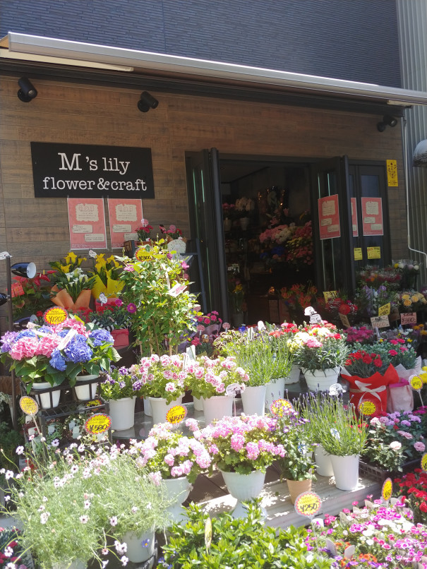 M Slilyエムズリリーで癒やされて まちまど