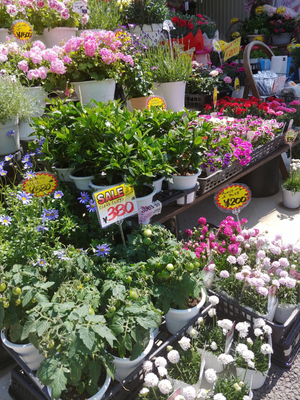 M Slilyエムズリリーで癒やされて まちまど