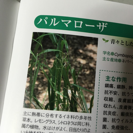 パルマローザ With Aroma アロマ専門サロン ワークショップ パルマローザ With Aroma アロマ専門サロン ワークショップ