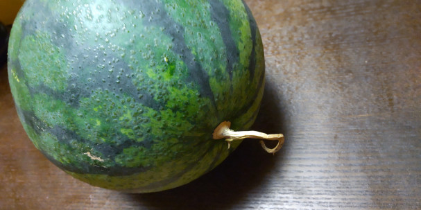 スイカジュース デコラ レｋｕｄｏｕ