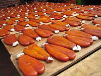 うま過ぎ魚卵の珍味カラスミ 珍味紹介 探究ブログ うま過ぎ魚卵の珍味カラスミ 珍味紹介 探究ブログ
