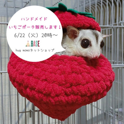 クリスマス限定オリジナル生地6】フクロモモンガポーチ＊ころんと日和  