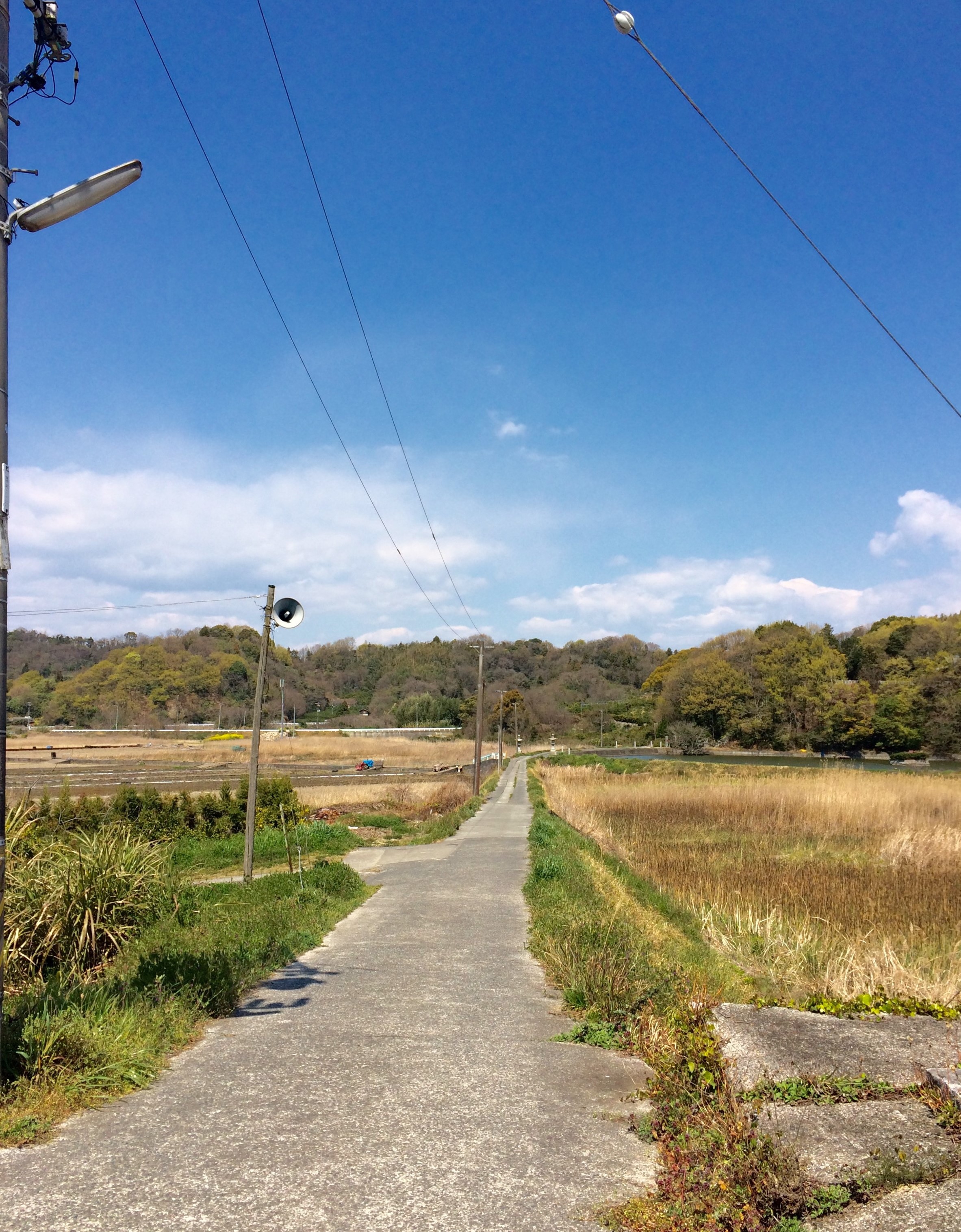 About | ぐるぐる巡る大三島グルメマップ