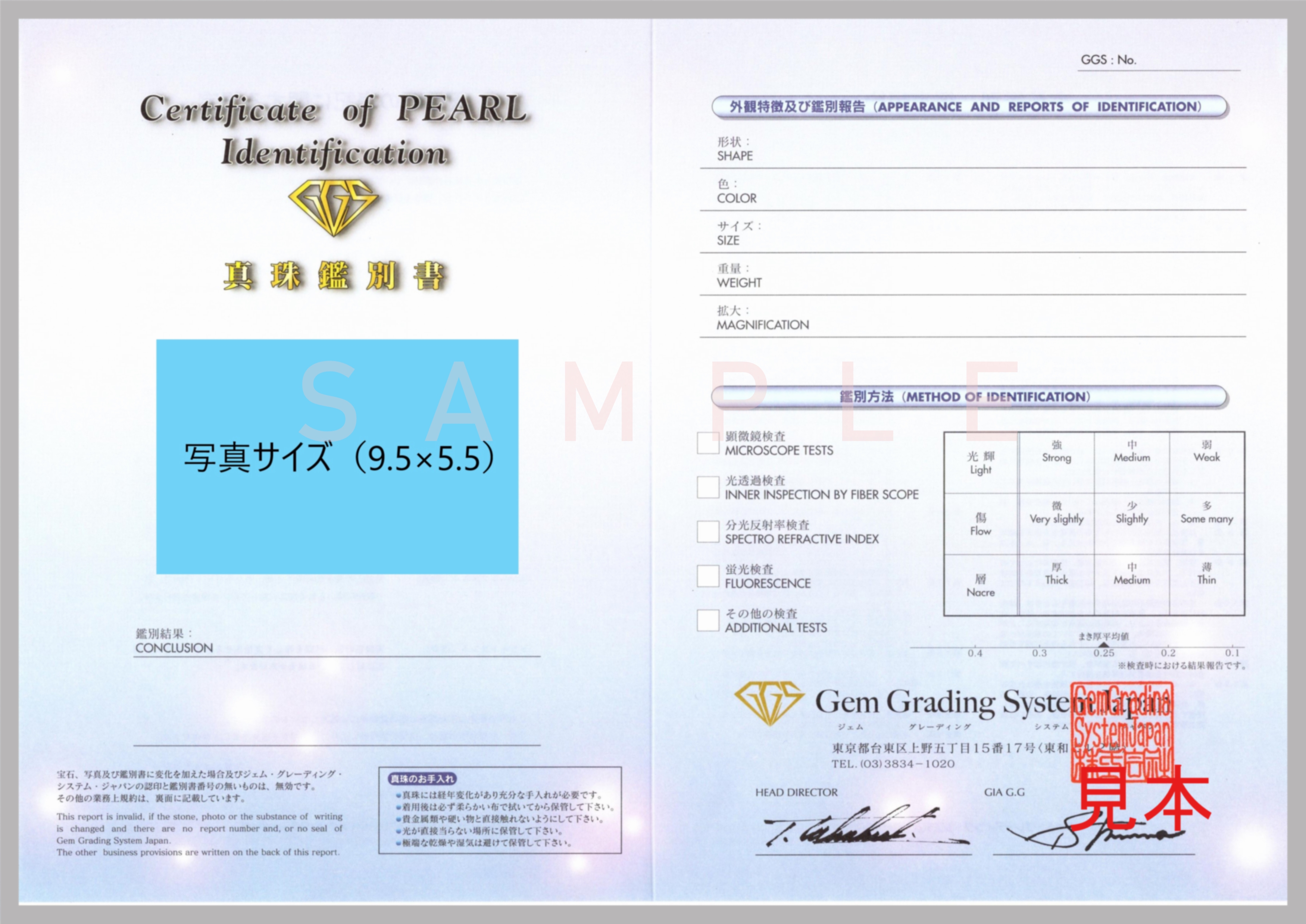 ひか❗️＋鑑別書 鑑 別 書 | Gem Grading System Japan