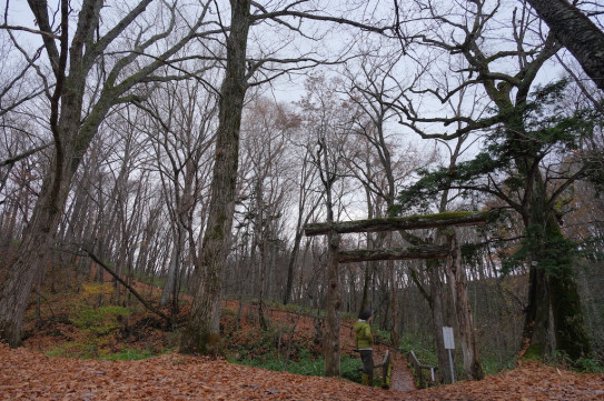 来運神社 道東随一のパワースポット 旅する Sigotoba Akivan