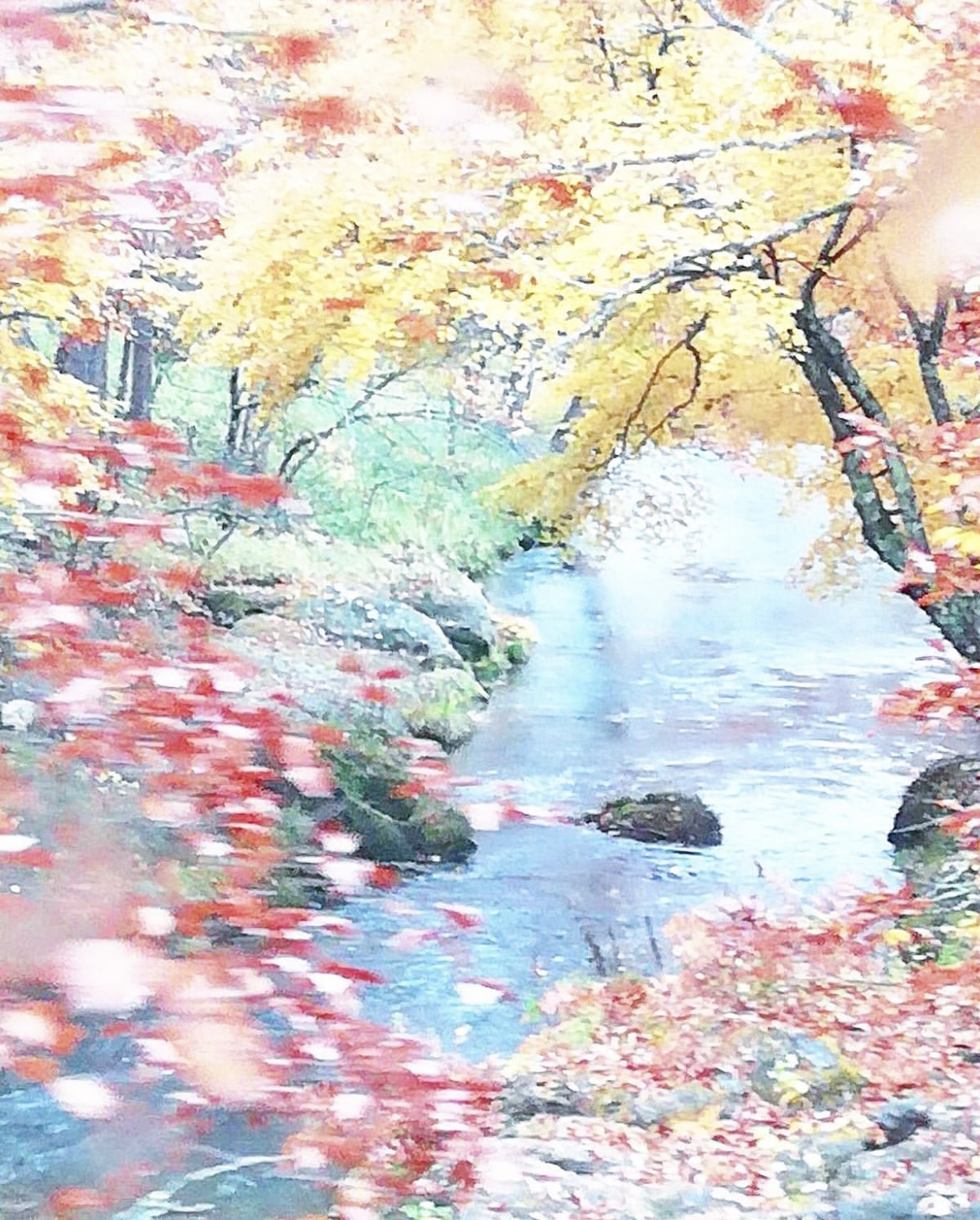 サン=サーンスと日本の詩情、万葉集。 | 岡村亜衣子 Aiko Okamura