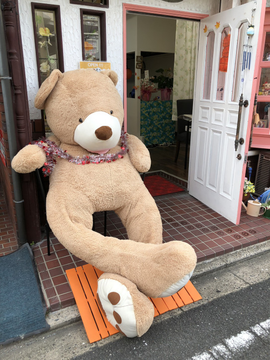 探偵ナイトスクープのバンジーの子はトリミングサロンココ ソラ家の子です トリミングサロン ココ ソラ 探偵ナイトスクープのバンジーの子はトリミングサロンココ ソラ家の子です トリミングサロン ココ ソラ