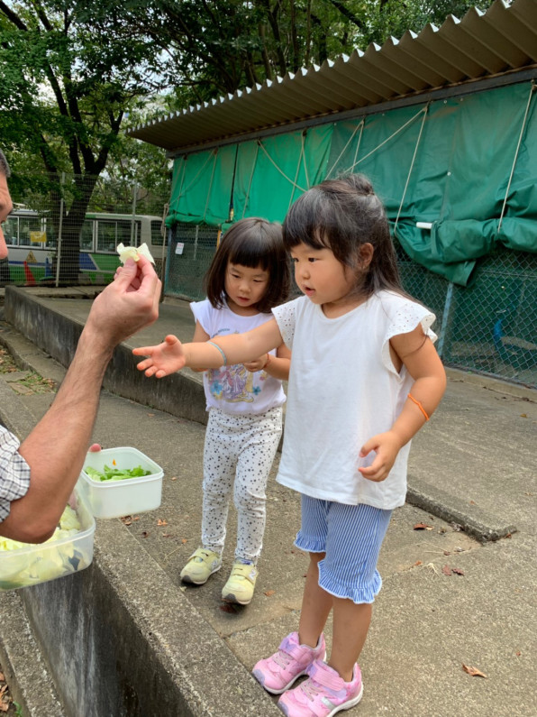 風船でスイカ割り サマースクール6日目 Language Exchange Friends Lef