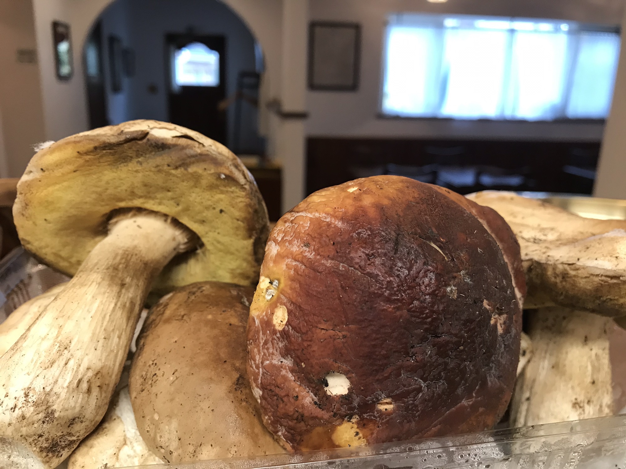 Funghi porcini freschi Antica Trattoria dalla