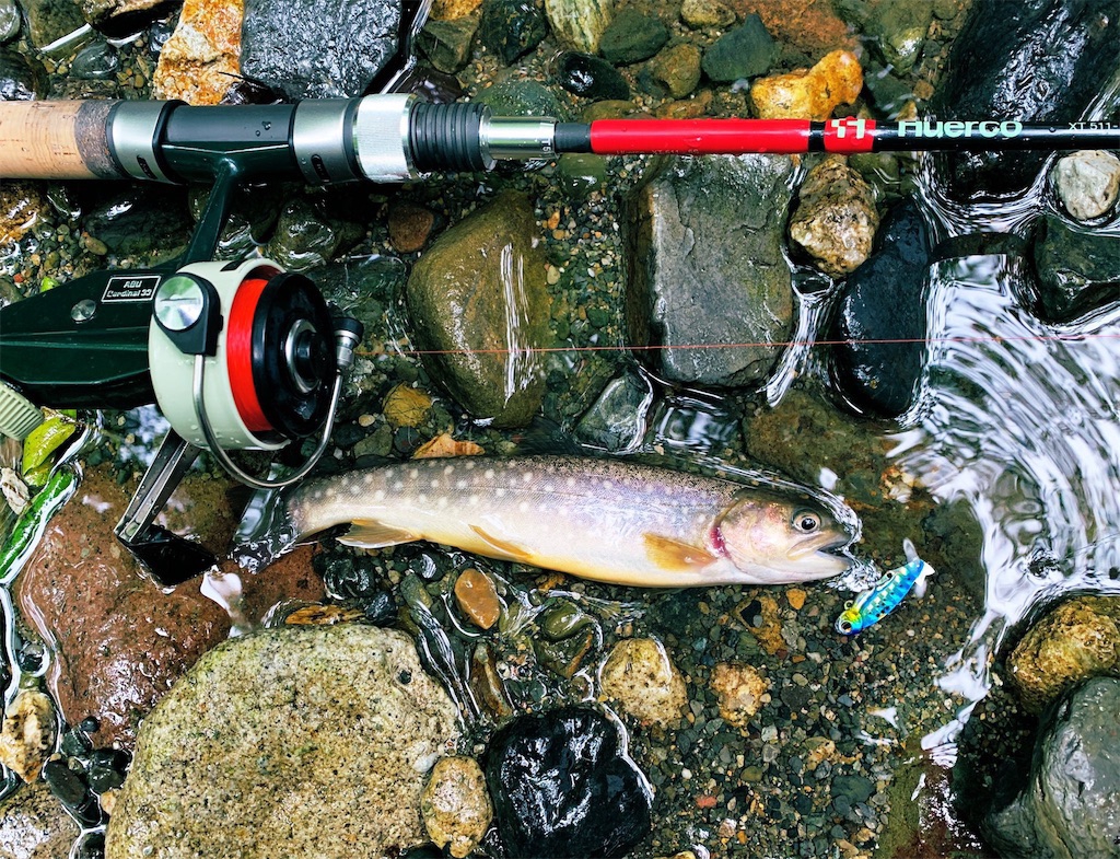 奥会津イワナとHuerco/XT511-5S | Fish and Donuts