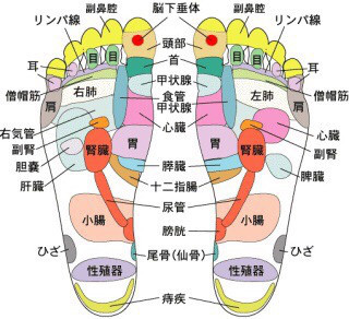 足マッサージすると トイレが近くなるのは何でかしら お客様からの質問 姉妹でやってる小さなお店