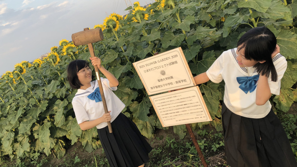 Sdgs実現のためのesdとict Ict教育 聖徳大学附属女子中学校高等学校