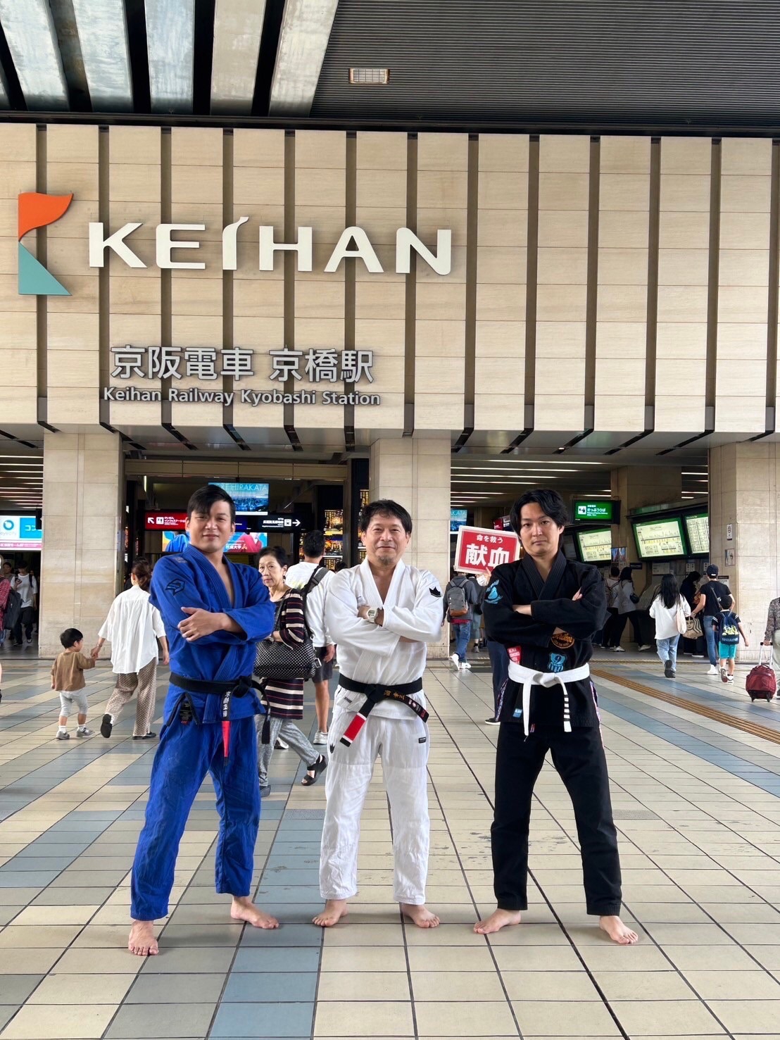 【名作】ブラジリアン柔術 ゴブリンヤDVD 3枚 BJJ グレイシー柔術 寝技 コブリンヤ BJJ 3枚組 by フーベンス・シャーレス (DVD