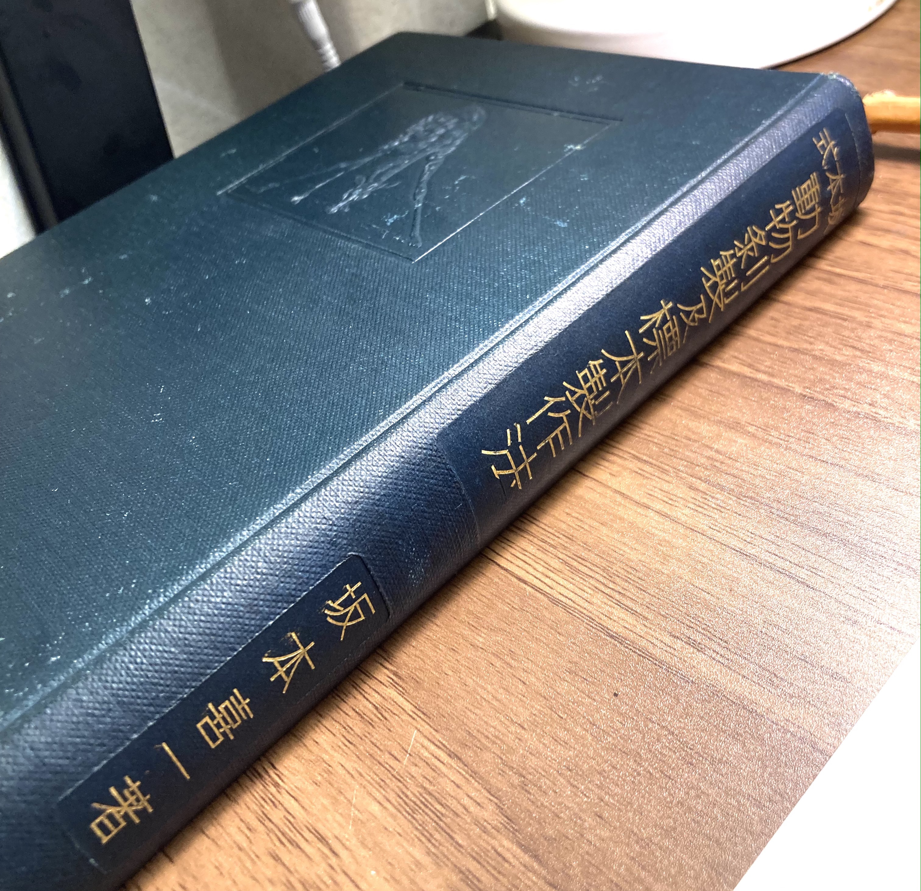 【本剥製の作り方】鱗音からお知らせ【坂本式動物剥製及標本製作