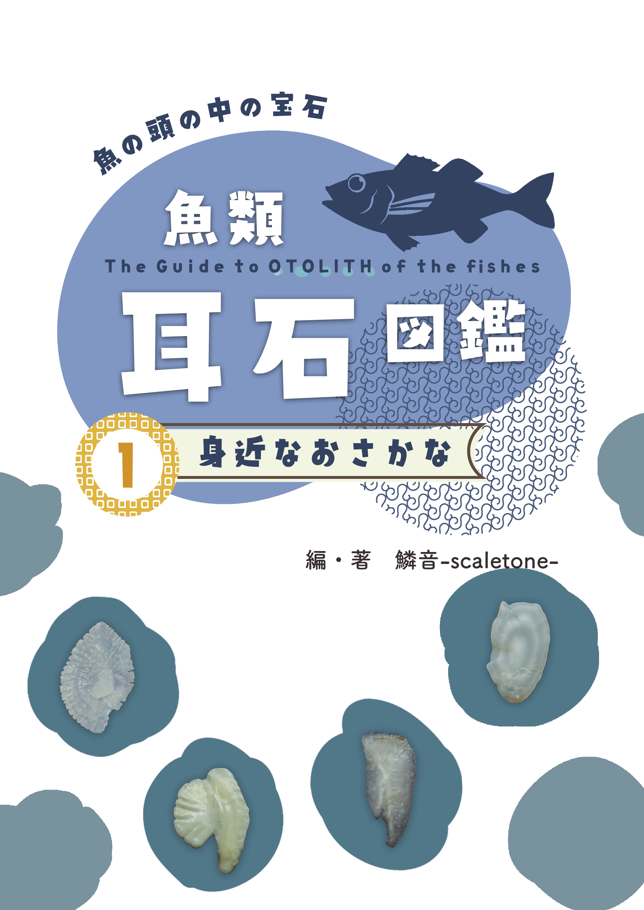 魚類耳石コレクション 42種類 魚類耳石コレクション 42種類（耳石による種類同定マニュアル）