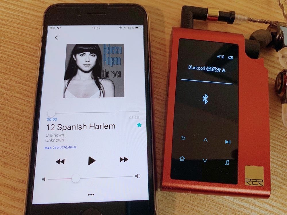 HIFIMAN R2R2000(Red) 音質のレビュー | Just a blue