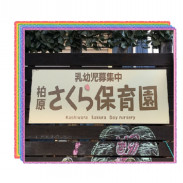 さくら保育園柏原 さくら保育園柏原