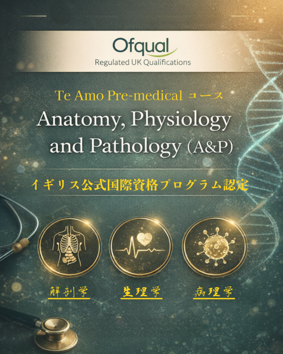 ルーマニア医学部 『Te Amo ルーマニア医科大学事務局』海外医学部