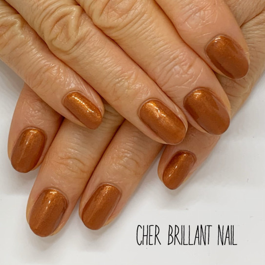 大人ネイル テラコッタブラウンネイル Cher Brillant Nail