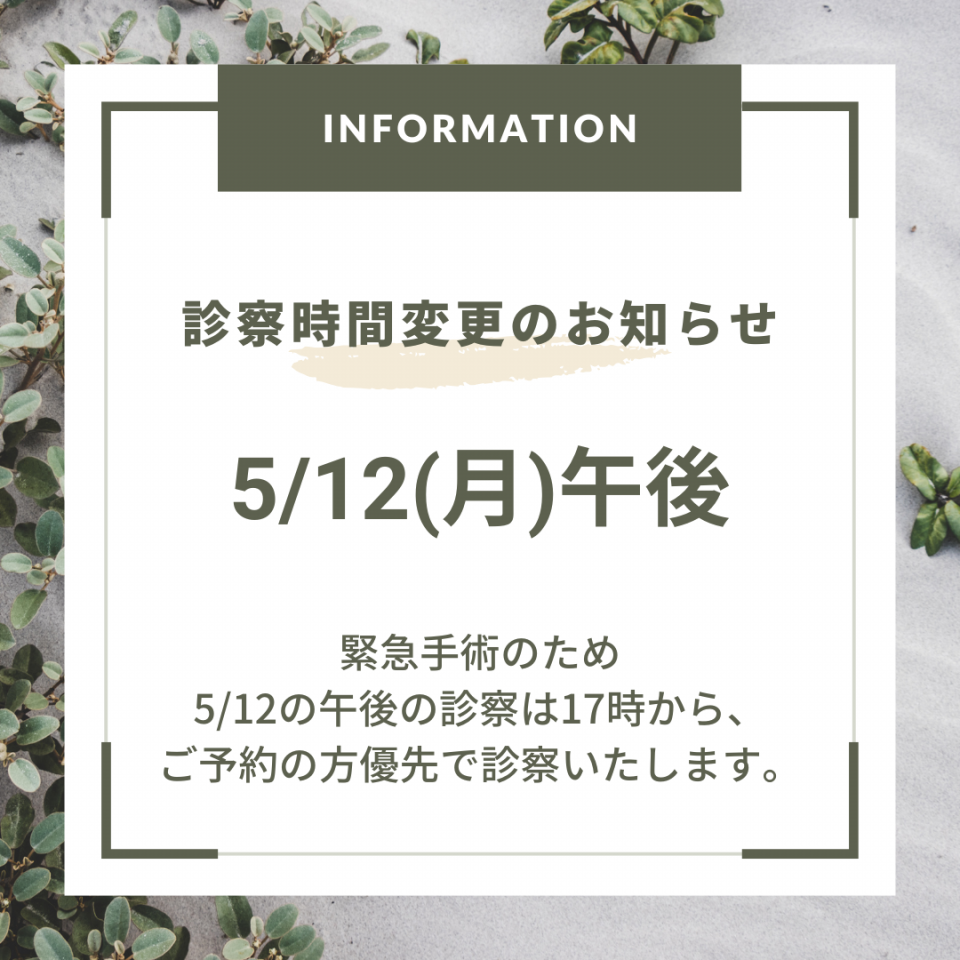 5/12午後の診察について