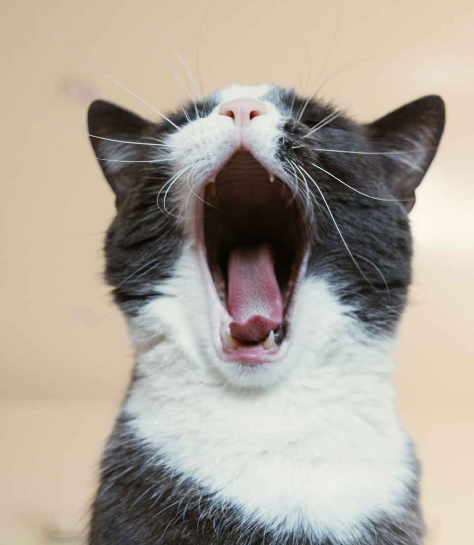遅くなりました！｜BLOG