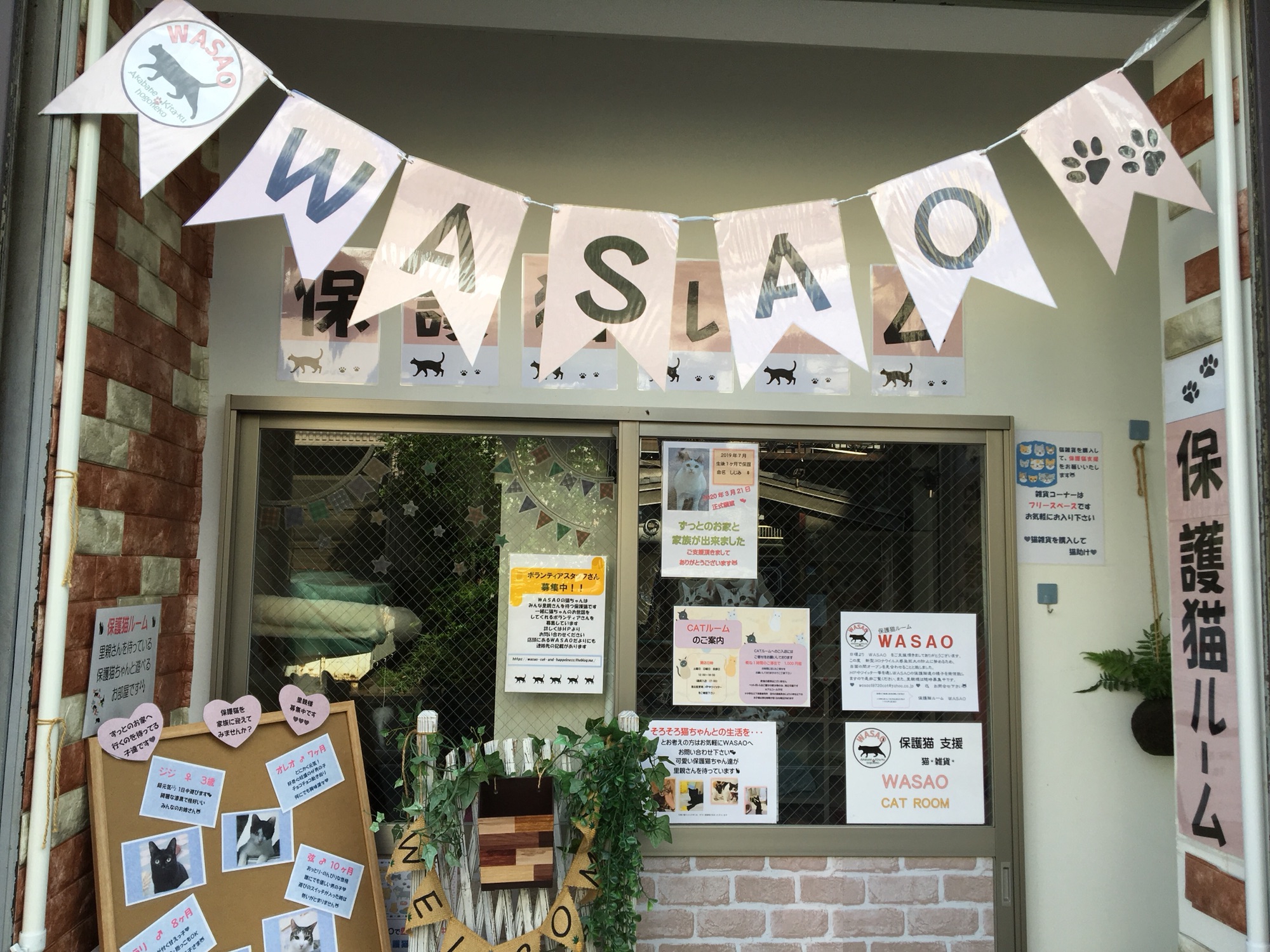 保護猫ルーム Wasao