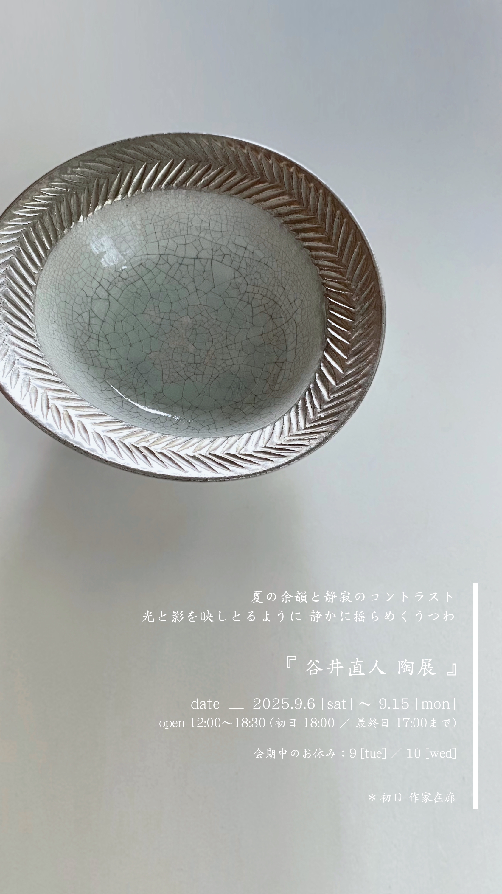 ❷限定 希少 谷井直人 大皿 長皿 貫入 1枚 未使用 個展購入 約35cm 9月展示会『谷井直人 陶展』のお知らせ | Rikka Knot