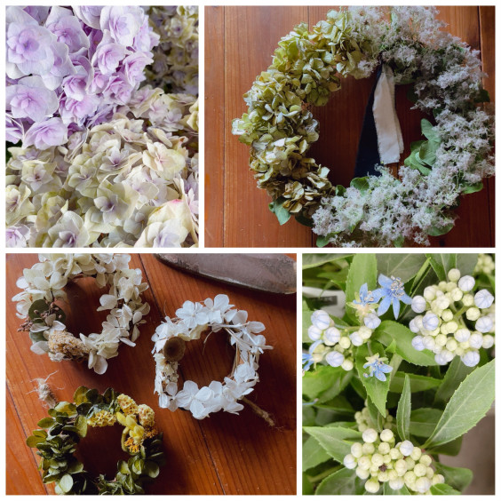 紫陽花fair 6月の催し 花処はなり 水戸花屋 アレンジメント 花束 生花 鉢物 ウエディング 古道具 花処はなり 水戸市平須町 花屋 古き良きもの