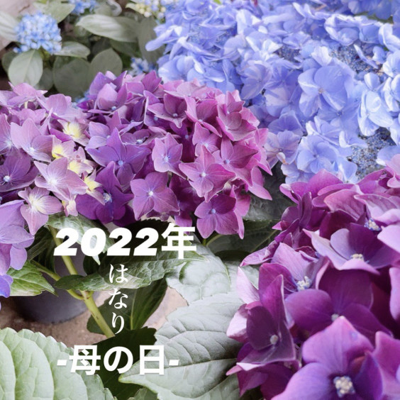 22年はなり母の日 予約開始 早贈り割について 水戸市平須町 水戸花屋 生花アレンジ 花束 ドライフラワー 季節のお花 古道具 古き良きもの 花処はなり 水戸市平須町 花屋 古き良きもの