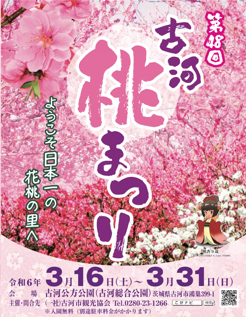 2024.3.20(水祝)茨城県古河市「第48回 古河桃まつり」 | KEN EBISAWA