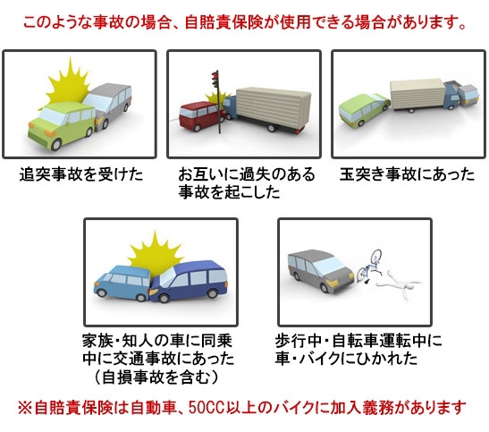 最上の品質な 整骨院 交通事故対応資料 参考書 - www.logimaticsrl.com