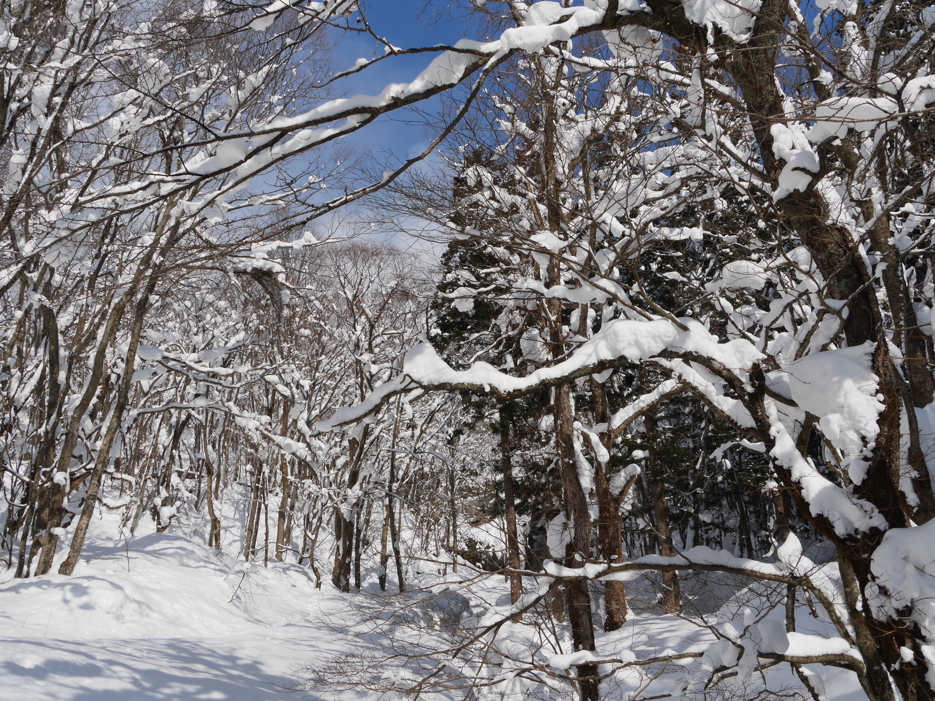 c6fa7cf5b18b020d5ff8fd63e85b89