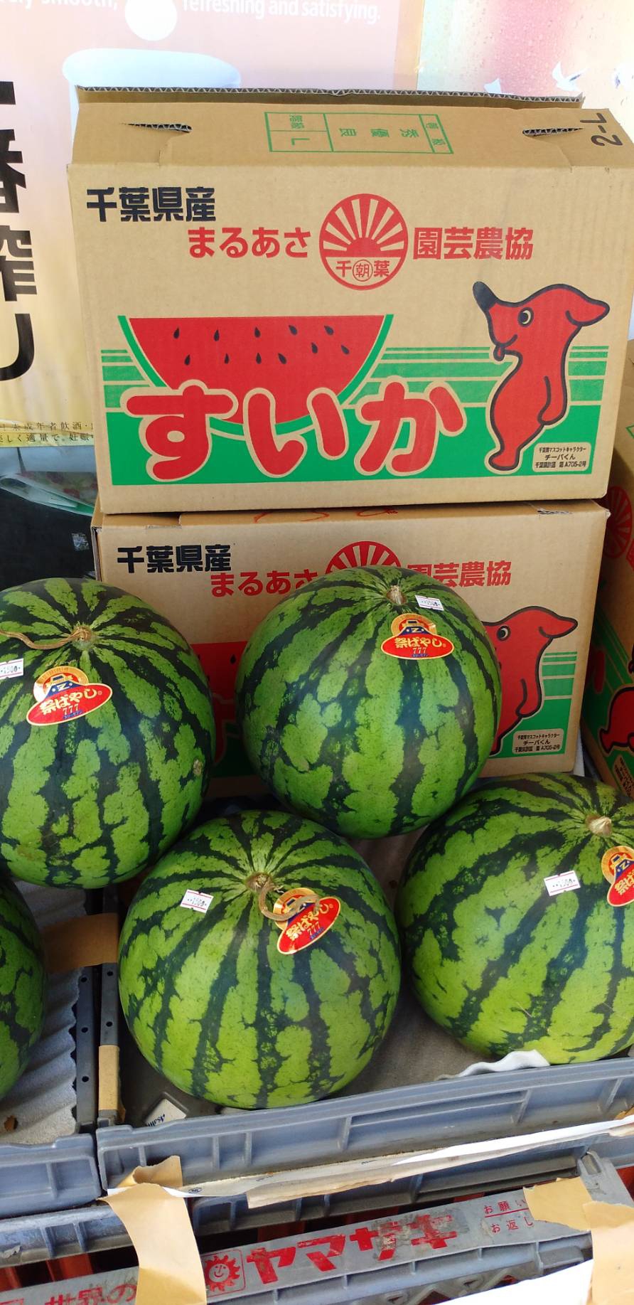 九十九里浜 並木商店 〜野菜 海の幸〜の写真(千葉県横芝光町)